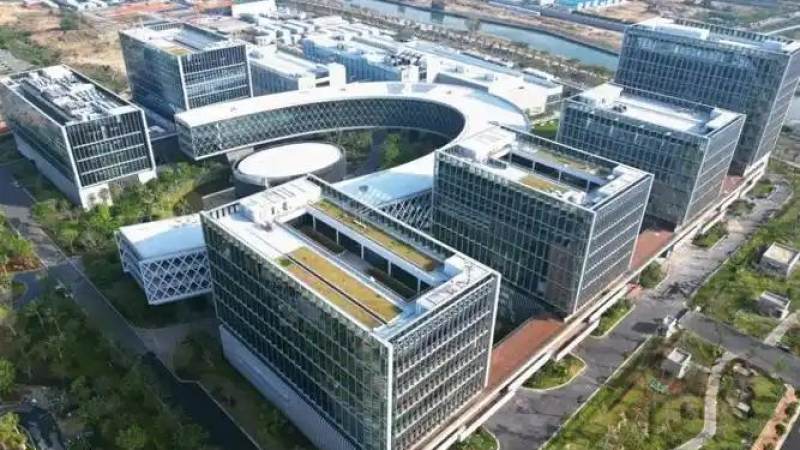 PG电子大厅多人互动机制如何改变社交玩法体验